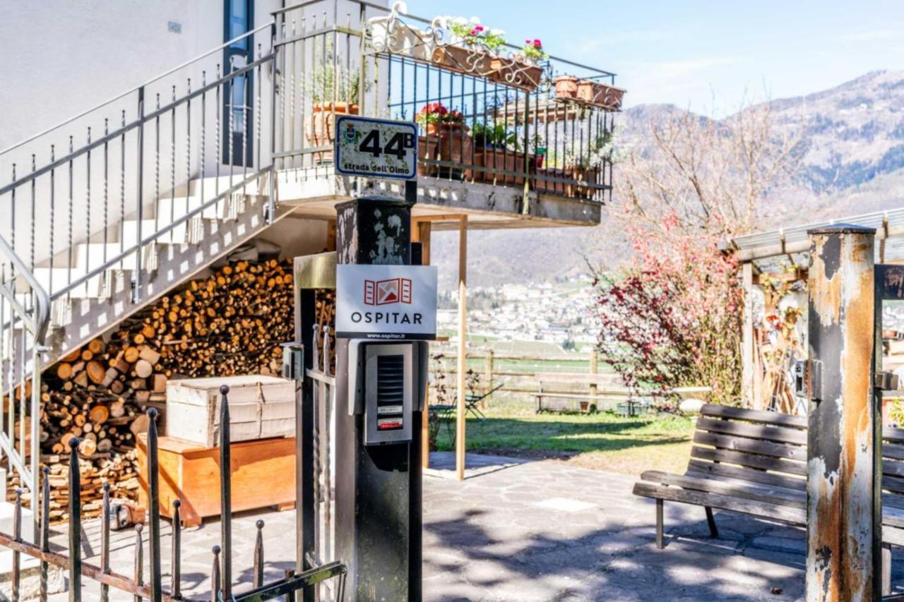 Alle Coccinelle, Levico Terme Eksteriør billede